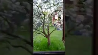 N&aacute;&scaron; romantyckej v&yacute;hled xd #Ada Adam #Josef Tenkr&aacute;t