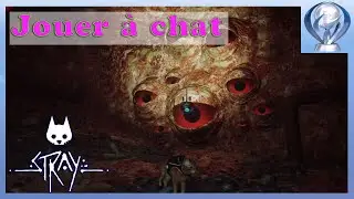 [Viens on platine] Stray - Troph&eacute;e : Jouer &agrave; chat
