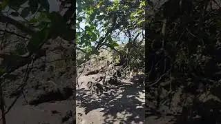 Guachalito beach Nuqu&iacute;-choco-colombia