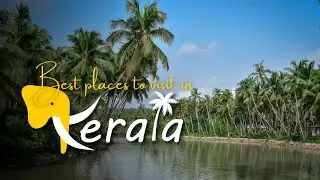 Best places to visit in Kerala | Travolook
