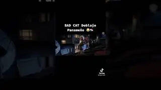 Bad cat doblaje paname&ntilde;o