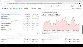 Brand vs Non-Brand SEO Performance | Understand Where Traffic Comes From | Rankerli