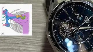 Orient Star RK-AV0114E en Español | Un reloj automático de lujo japonés