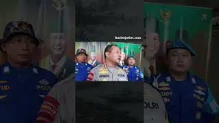 Lumba-Lumba Terdampar di Kenjeran, Nelayan Beraksi