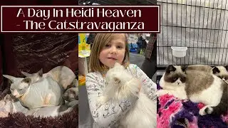 A DAY IN HEIDI HEAVEN - THE CATSTRAVAGANZA AT BIRMINGHAM NEC
