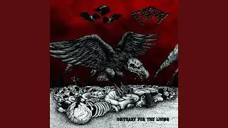 Thrash Resurgence