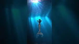 Mermaid in the blue light