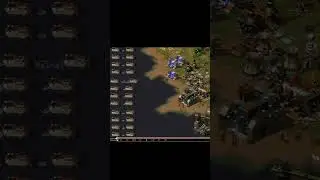 24 Borillos, What will you do?...(idea by Wavepy)