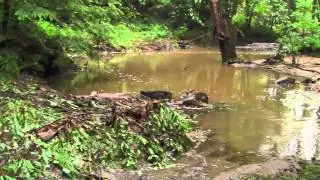2012 Gilsum Floods