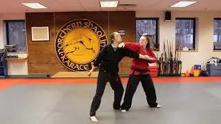 1st Degree Black Belt Techniques