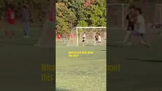 Should I have scored? #soccer #header #ibrahimovic