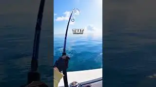 What a catch! 🎣 #seafishing