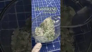 Что нам следует выкопать дальше?