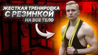 Full Body Resistance Band Workout | Best Exercises for Total Body Training
