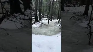 Take a 43 second moment