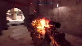 BF6
