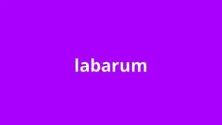 what is the meaning of labarum