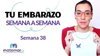 Semana 38 | Tu embarazo semana a semana | Maternar.co