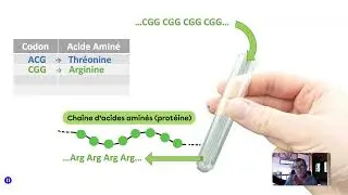 La découverte du code génétique