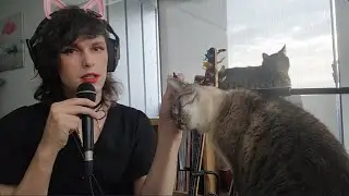 ASMR | Quality time 6 😸