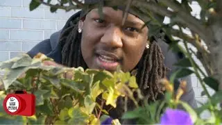 Lil Hunnid  - Picture Me (Official Music Video)