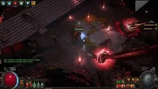 Awakener 8 - SSF Deathless as VD necro with low DPS