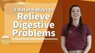 3 Natural Ways to Relieve Digestive Problems | Chiropractor for Gut Health in West Omaha, NE