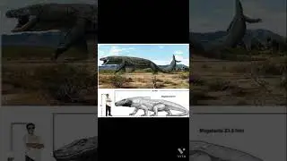 You should be glad the Megalania is extinct
