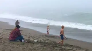 Centerville Beach County Park in Ferndale, California