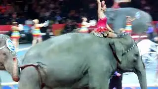 2014 Audrey circus 04