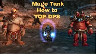 Mage tank High King Maulgar effectively | Guide + Raid Review |