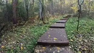 Комаровский берег