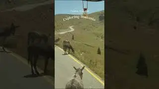 Sharing some memories from last year - our tourists loved exploring Romania!