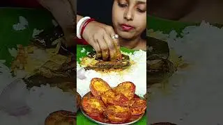 Brinjal Masala Curry With Hot Rice Eating Challenge #eating #mukbang #viral