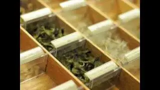 Fishwest Online Fly Shop Introduction