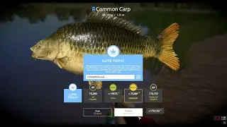 BLUE TAG TROPHY 30.116 COMMON CARP AMBER LAKE RUSSIAN FISHING 4 RF4