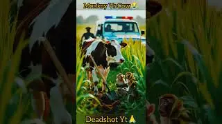 Cow Protects Her Field! 🐮 Monkeys Caught by Police #EpicViral&rdquo;