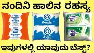 ಇವುಗಳ ನಡುವಿನ ವ್ಯತ್ಯಾಸ ಏನು? | Which Color Nandini Milk Packet is Good for Health? | India Reports