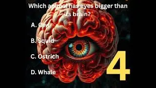 Which animal has eyes bigger than its brain? #shortsvideos #shorts #youtubeshorts #ytshorts #youtube