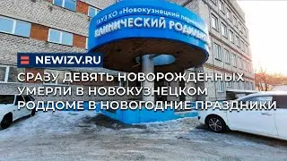 Сразу девять новорождённых умерли в новокузнецком роддоме в новогодние праздники