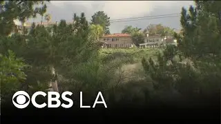 Orange County residents search for fire insurance after company denies renewal
