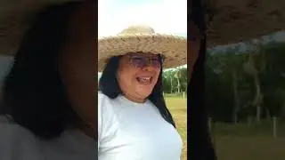 Highlight 9:27 - 14:27 from UPDATE PLANTING COCONUT MS YANG