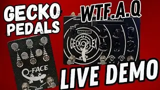 What the F.A.Q Live Demo Gecko Pedals