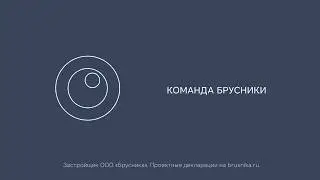 Манифест Брусники в Covid-19. Апрель 2020