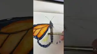 Watercolor Monarch #butterfly #watercolor #sketchbook #colors #paintingprocess #arttips #watercolour