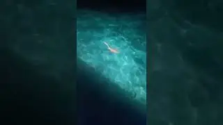 #Maldivesss