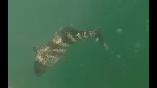 Spotted Bay Fishing April 27, 2021
