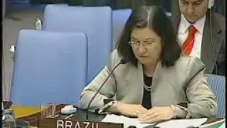 CSNU 2010: A situa&ccedil;&atilde;o no Oriente M&eacute;dio, incluindo a Quest&atilde;o Palestina