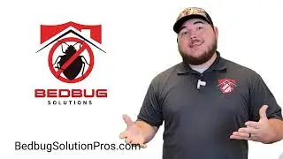 How Did I Get Bedbugs? Bedbug Solutions