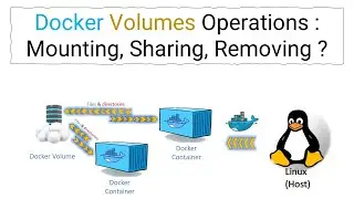 Docker Volumes Operations : Mounting, Sharing, Removing ? #linux #docker @kayyum698